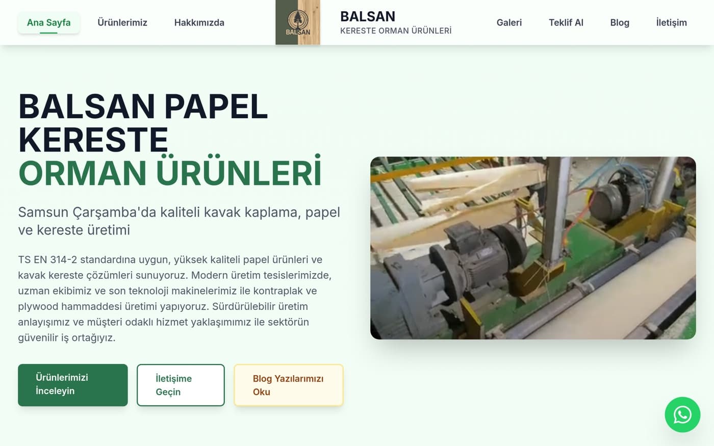 Tokat web site — Balsan Papel referans projesi önizlemesi — Kereste & Orman Ürünleri