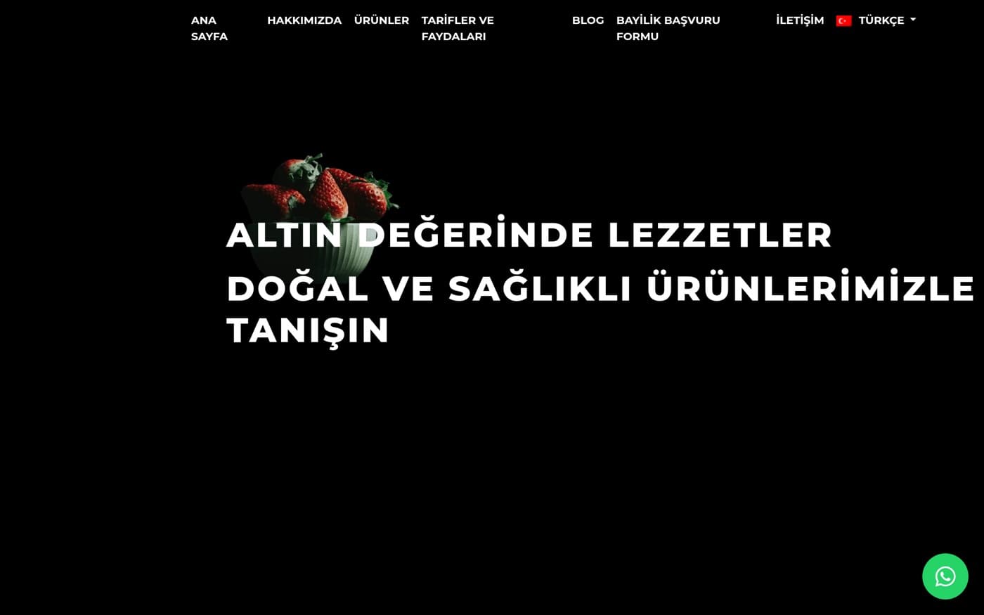 Tokat web site — Mygoldenfood referans projesi önizlemesi — Gıda