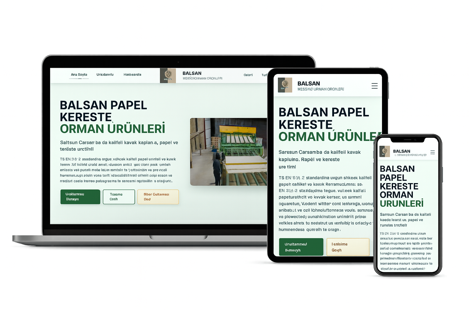 Balsan Papel - Kereste Orman Ürünleri